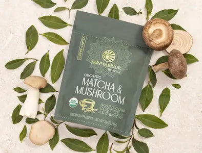 Matcha-mushroom-iced-drink-7-Health-Benefits-You-Need-to-Know Fajas Kataleya