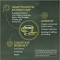 Be Well Matcha & Mushroom Drink Mix - Adaptogenic Coffee Sunwarrior
