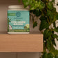 Matcha Latte Collagen Drink Powder - Vegan, Plant-Based Sunwarrior